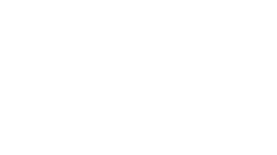 zeiss logo weiß